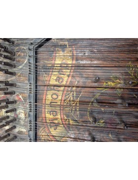 Muzikos instrumentas citra