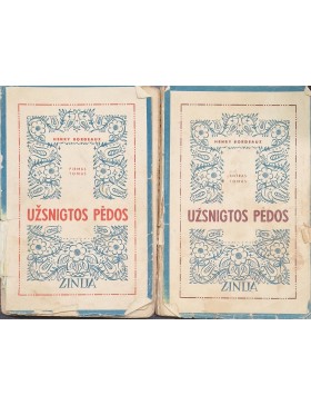 Užsnigtos pėdos