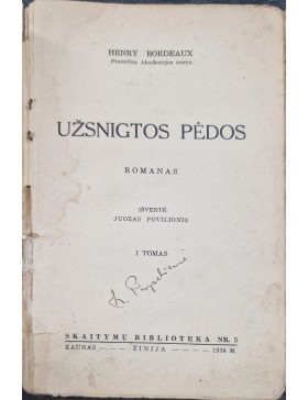 Užsnigtos pėdos