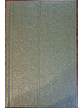 Žmonės vasaros naktį 