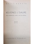 Kelionės į Šiaurę