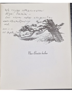 Nuo Birutės kalno