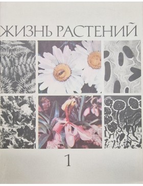 Жизнь растений