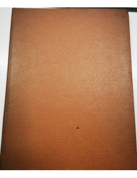 Vokiečių okupacija Lietuvoje 1915-1919 m. 