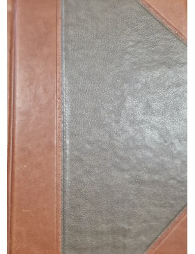 Pasakojimai apie veikalus lietuvių tautos senovėje