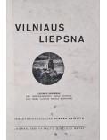 Vilniaus liepsna 