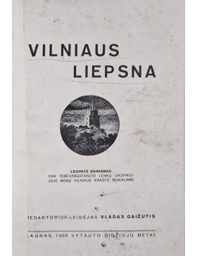 Vilniaus liepsna 