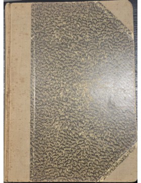 Pirmasis nepriklausomos Lietuvos dešimtmetis 1918-1928