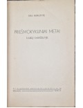 Priešmokykliniai metai vaikų darželyje