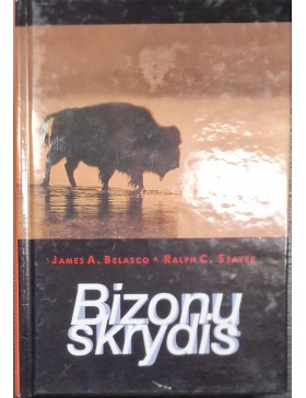 Bizonų skrydis 