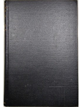 Straipsniai apie literatūrą