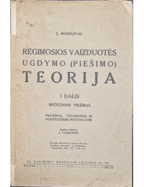 Regimosios vaizduotės ugdymo (piešimo) teorija