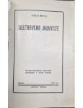 Beethoven Jaunystė