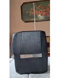 Televizorius „Šilelis 403D“