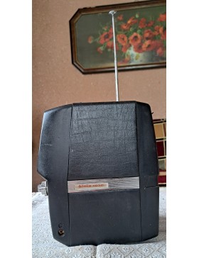 Televizorius „Šilelis 403D“