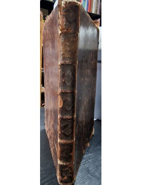 Heilige Augen und Gemuths Lust Vorstellend Alle Sonn...