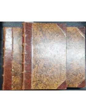 Das verwirrte Europa. Oder, politische und historische Beschreibung der in Europa, fürnehmlich in dem Vereinigten Niederlande und in dessen Nachbarschaft, seither dem Jahre 1664