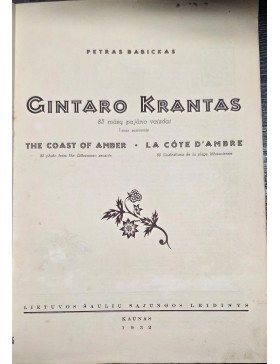 Gintaro krantas