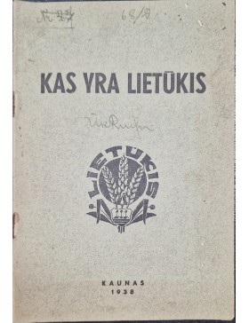 Kas yra Lietūkis