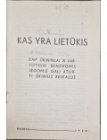 Kas yra Lietūkis